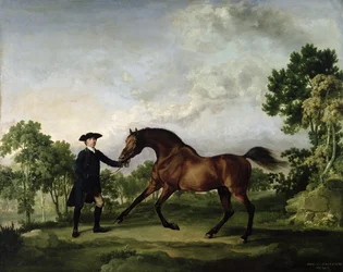 Le cheval bai du duc d